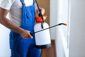 Best Pest Exclusion Services  in Morrice, MI